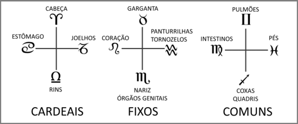 Tabela-dos-Signos-por-Quadruplicidades Signos - Segmentados pela Quadruplicidade