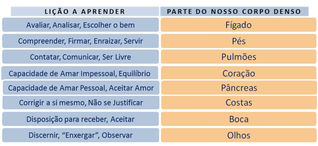 Joalheria Scheffler - O anel 7 elos, segundo a crença popular