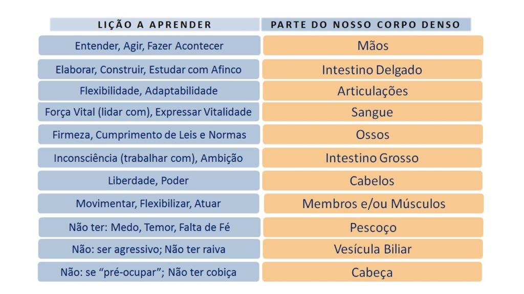 A Corça, uma das criaturas de Deus e o que nos aprendemos com ela 