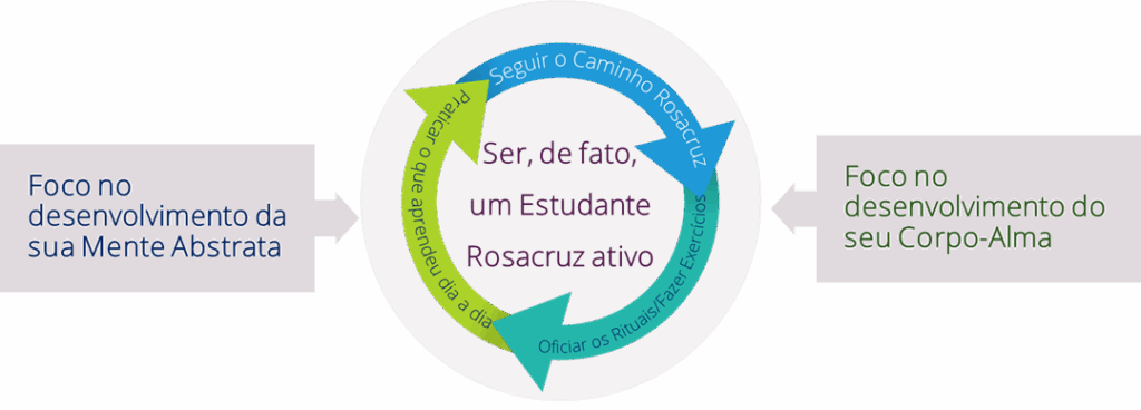 image-36-1024x368 Estudos Bíblicos Rosacruzes: Significância Esotérica de alguns pontos - Evangelho Segundo S. Mateus